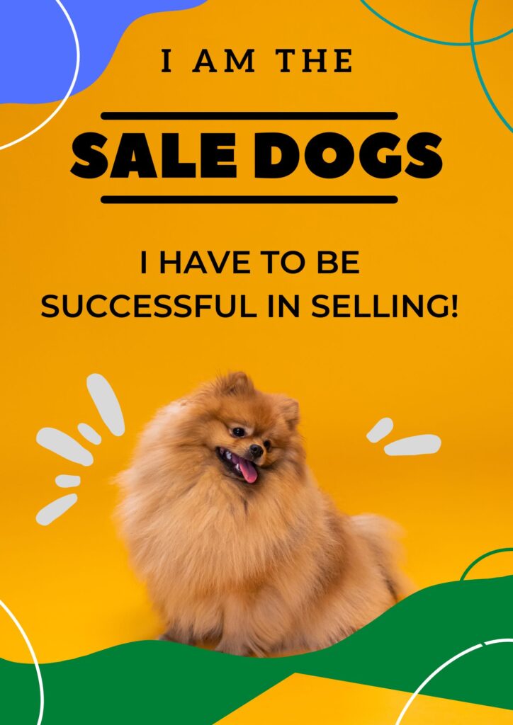 I have to be successful in SELLING!